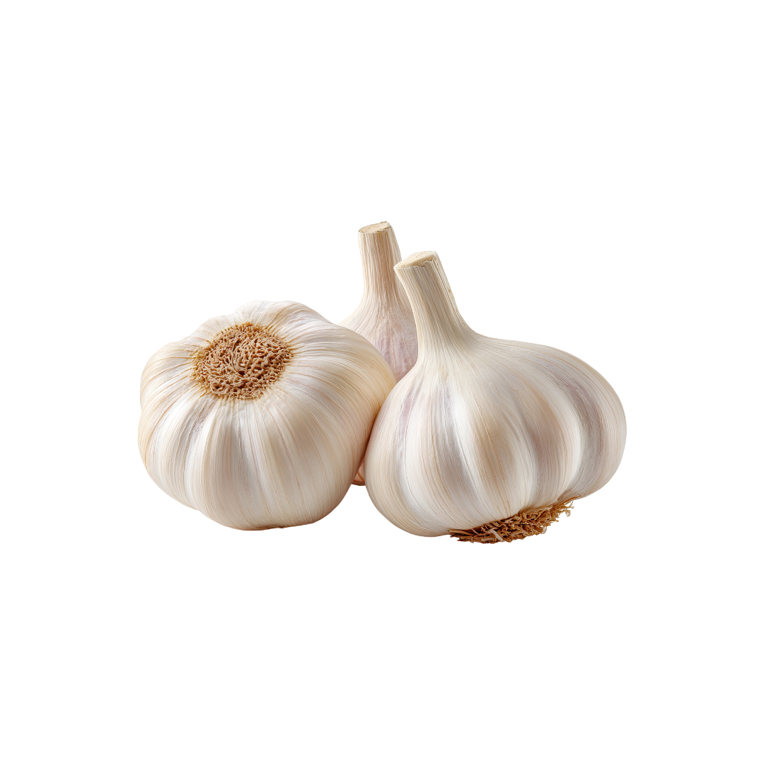 Dried garlic