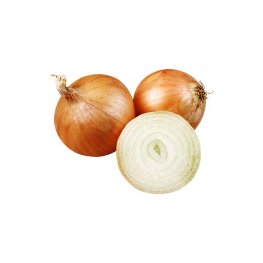 CEBOLA