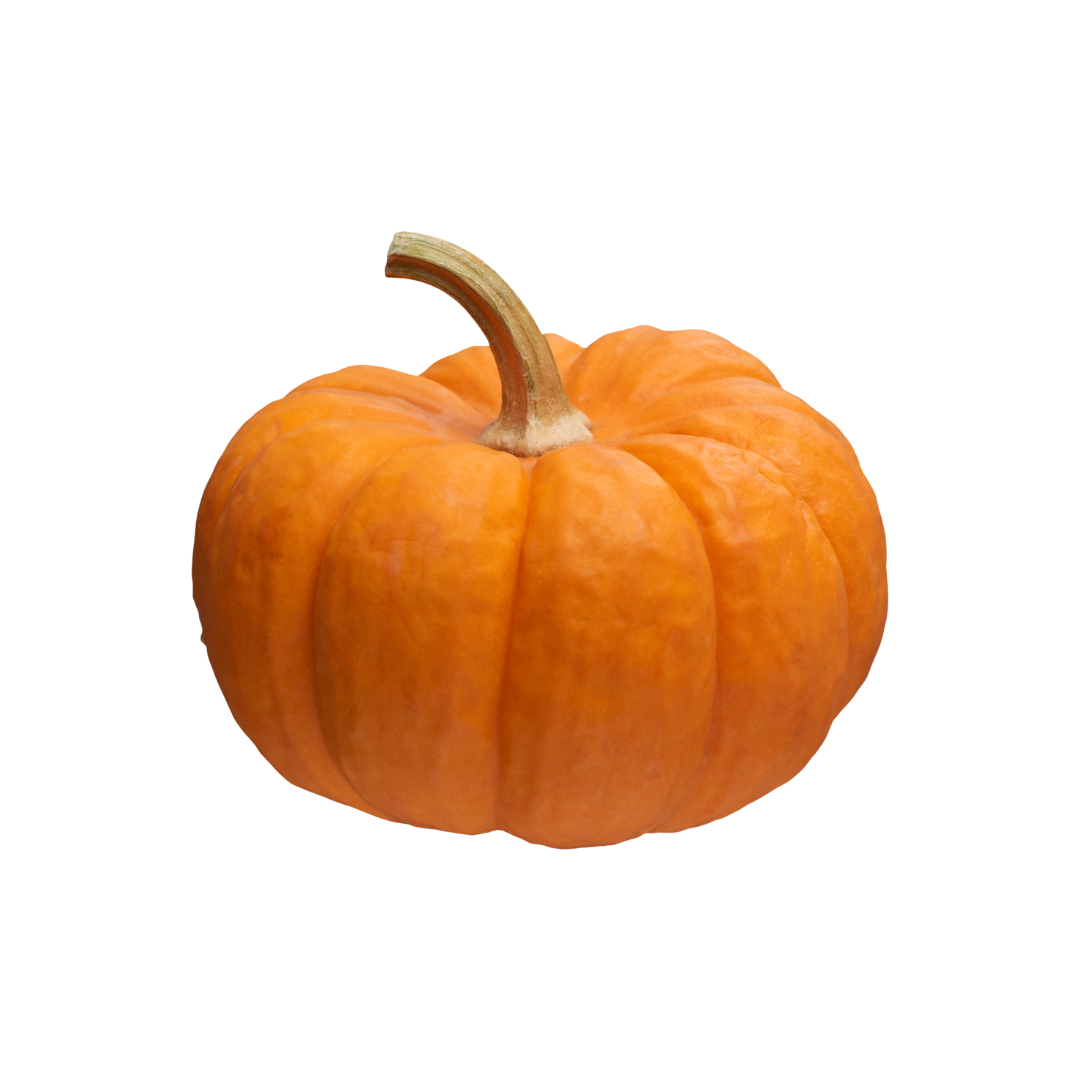 PUMPKIN
