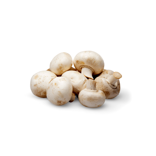 COGUMELO BRANCO (CHAMPIGNON)